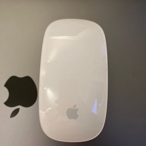 Apple Magic Mouse 1 (batterier)