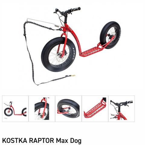 Kostka Raptor Max/ TrollBike Fat Eagle