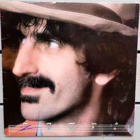 Frank Zappa - You are what you is