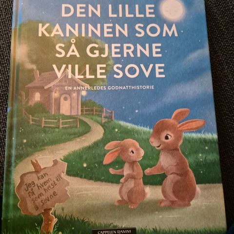 Kaninen som gjerne ville sove ❤️