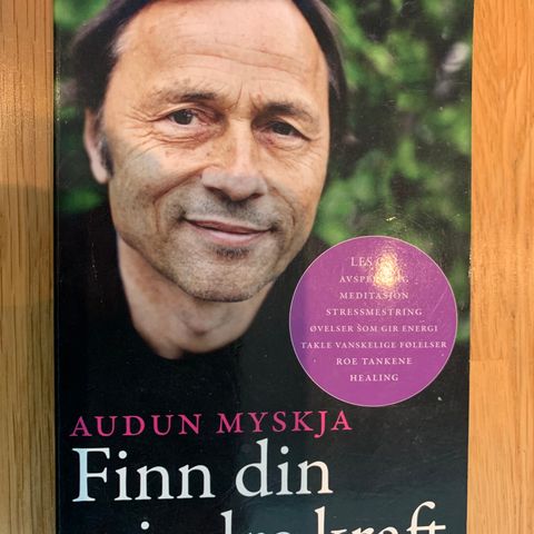 Finn din indre kraft av Audun Myskja