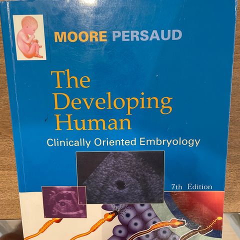 The developing human- embryology