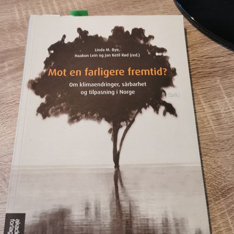 Mot en farligere fremtid? Om klimaendringer, sårbarhet og tilpasning i Norge