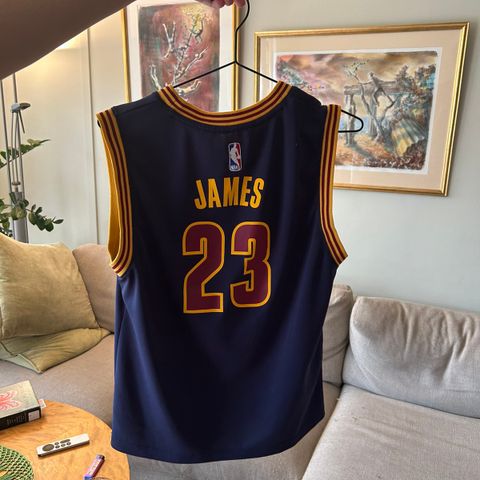 Lebron Cleavland Jersey