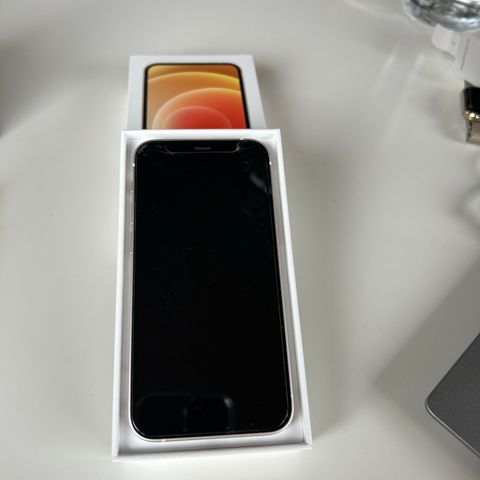 iPhone 12 mini 256 GB