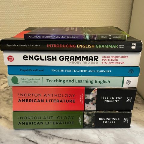 Div bøker. Engelsk-Studium