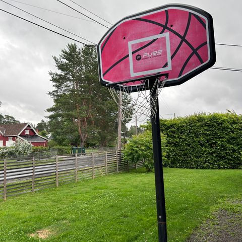 Basketballkurv fra Pure