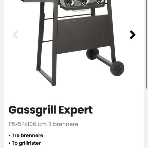 Gassgrill Expert