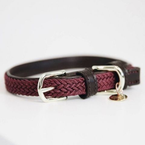 Kentucky dogwear halsbånd xs