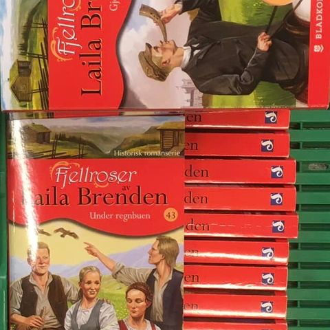 Hanna og Fjellroser av Laila Brenden