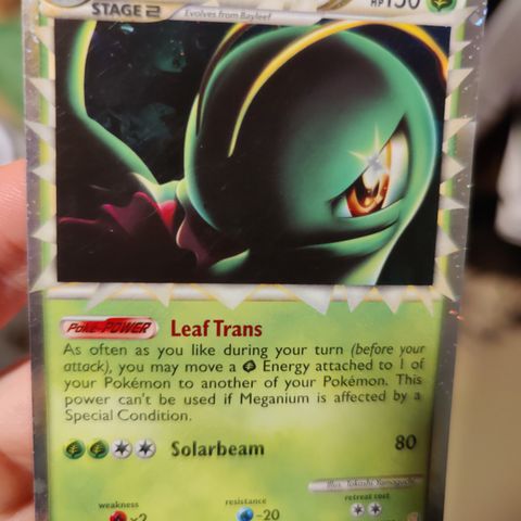 Meganium Prime 109/123 - HgSs