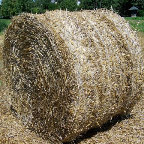 Høy/ensilage til hest ønskes kjøpt!