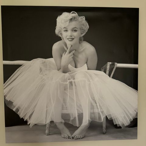 Marilyn Monroe lerett