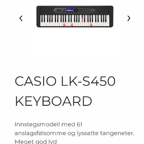 Casio Keyboard inkl stativ og pedal