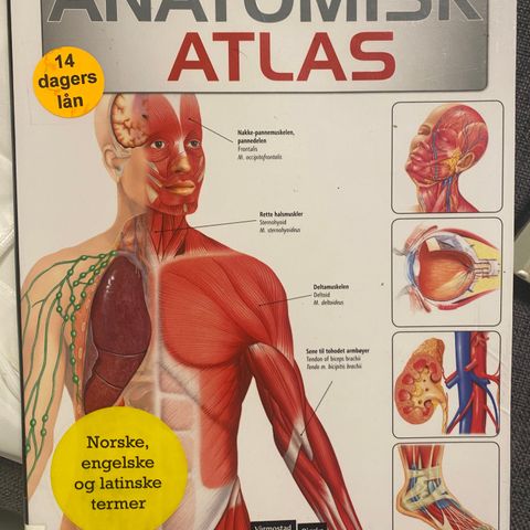 Anatomisk atlas