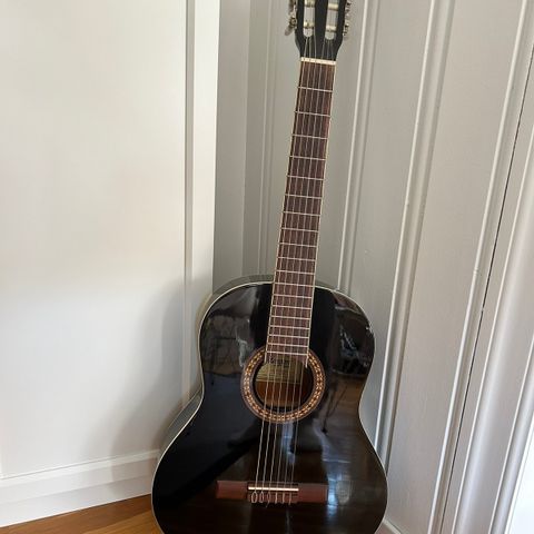 Morgan gitar