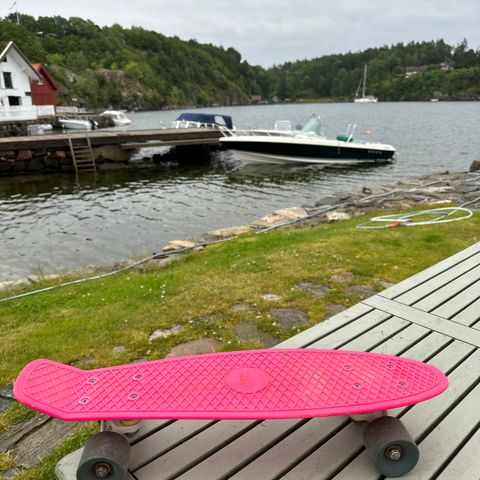 Penny board