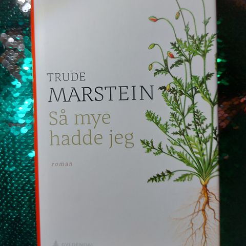 Så mye hadde jeg - Trude Marstein