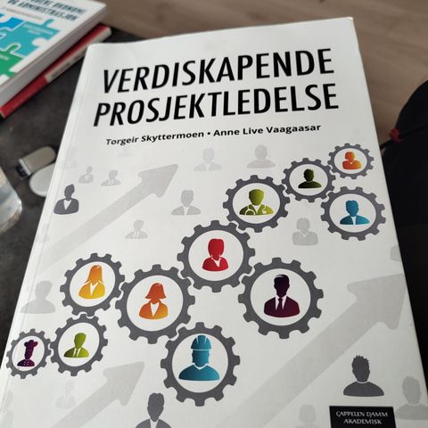 Verdiskapende prosjektledelse