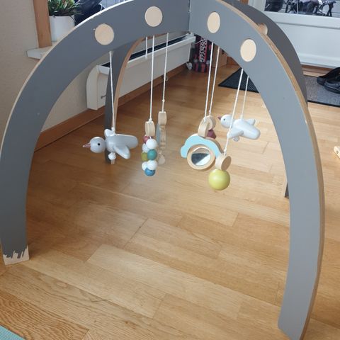 Sebra Babygym