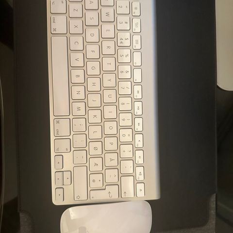 Magic Mouse og Magic Keyboard (batteri)