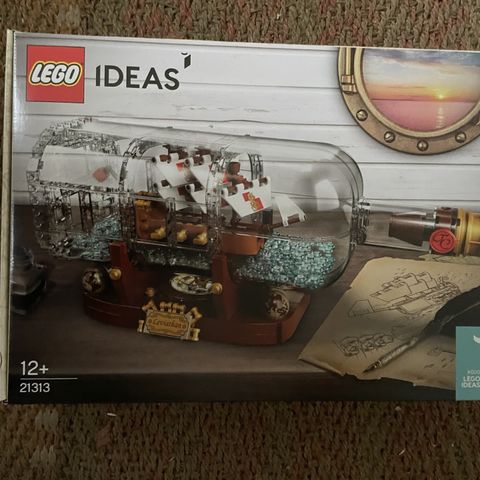 Lego 21313