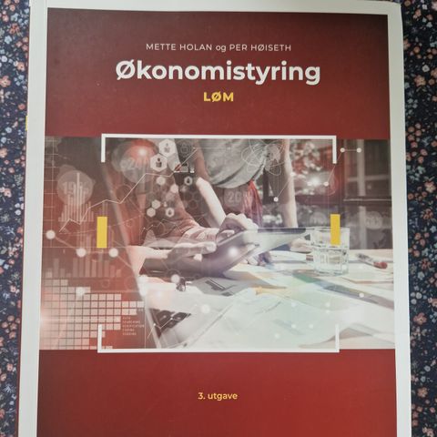 Løm økonomistyring. Mette Holan og Per Høiseth