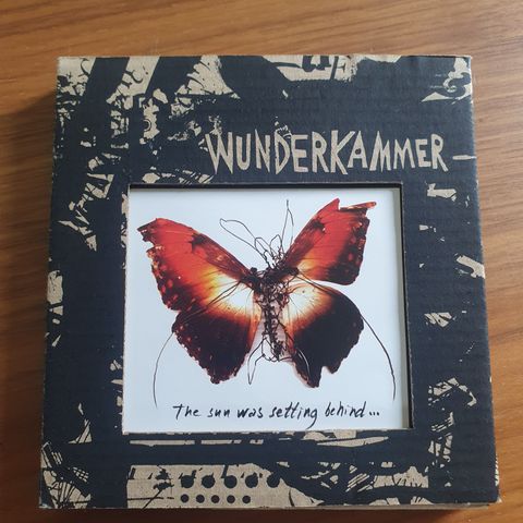 Wunderkammer - Today I cannot hear music CD album