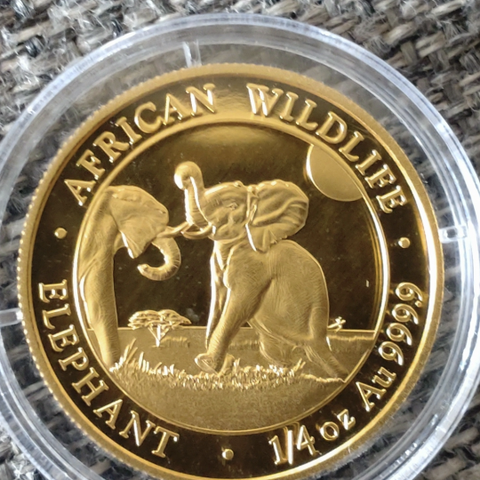 Gullmynt/gullmynter. 1/4 Oz African wildlife elephant.