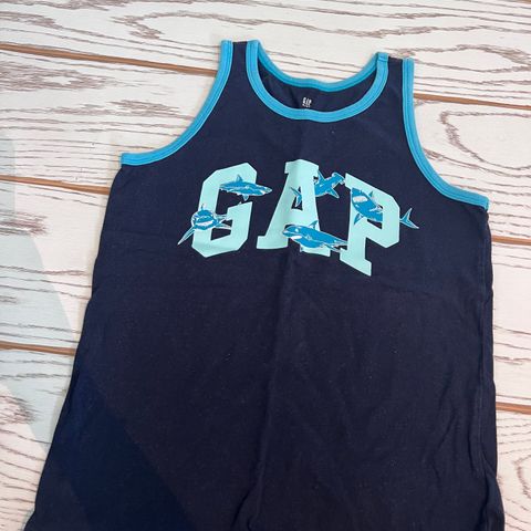 Gap singlet