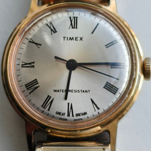 Vintage Timex Marlin
