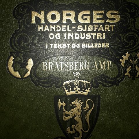 Norges Handel-Sjøfart og Industri i tekst og billeder -BRATSBERG AMT )