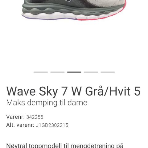 Mizuno wave sky 7, str 38