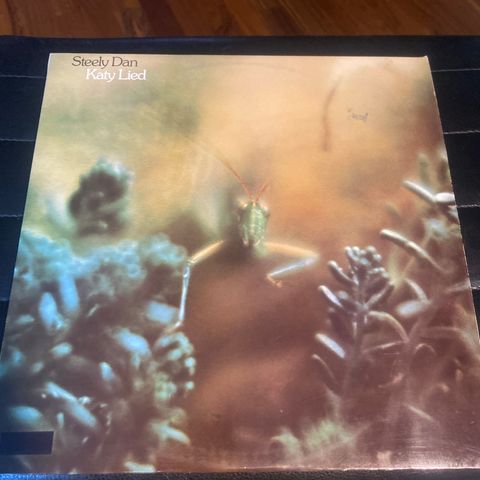 Steely Dan ** Katy Lied ** LP