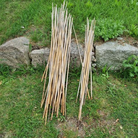 Bambuspinner selges