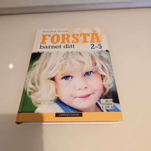 Forstå barnet ditt 2-5 år. Stein Erik Ulvund