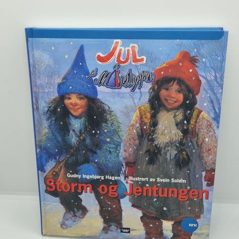 Jul i Månetoppen, Storm og Jentungen - Gudny Ingebjørg Hagen