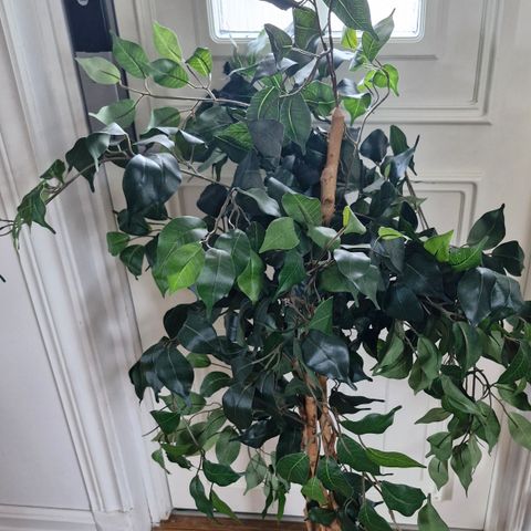 Stor kunstig plante