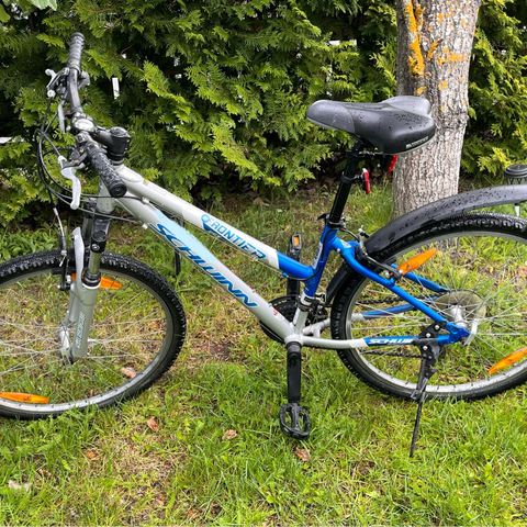 Schwinn Frontier GSX sykkel 163-175 cm selges