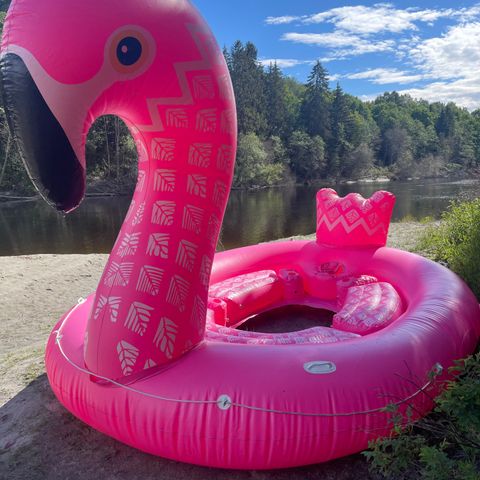 Stort badedyr - Rosa flamingo