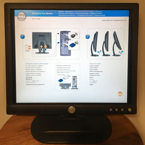 Retro Dell E173FP, 17", 1280X1024, VGA