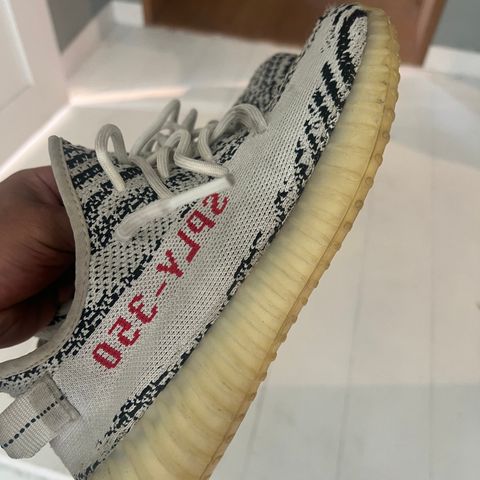 Yeezy Zebra