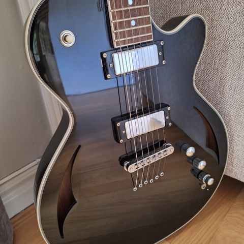 Parkwood H2 Hybrid Electric Guitar