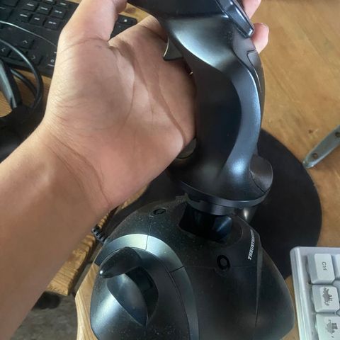 Thrustmaster Joystick