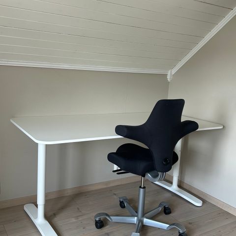 Ikea Bekant skrivebord