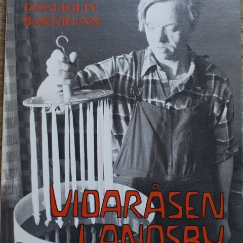 Vidaråsen Landsby - 1980 - Ideer - Dagligliv - Bakgrunn