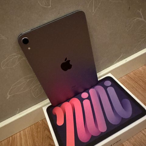 Ipad mini 6