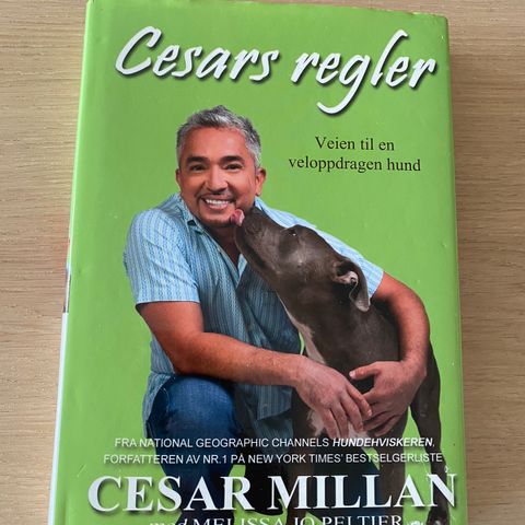 Cesars regler - Veien til en veloppdragen hund