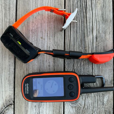 Garmin Alpha 100 + T5