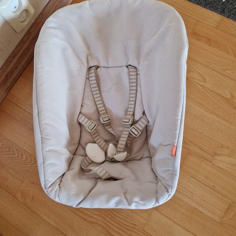 Newborn seat